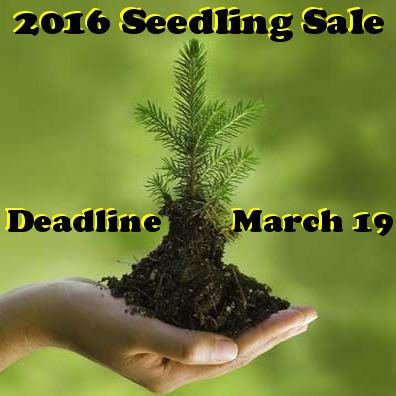 tree-seedling-sale-2016